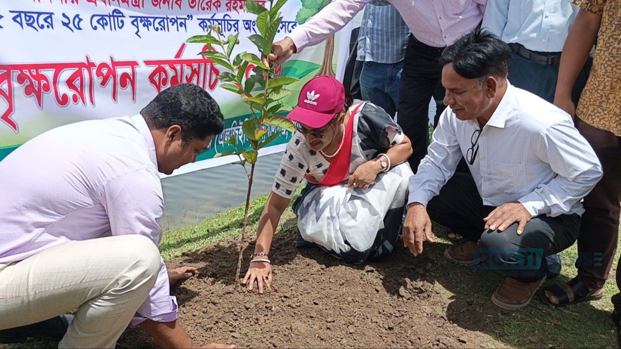 জামালগঞ্জে দুই হাজার বৃক্ষরোপণের উদ্যোগ