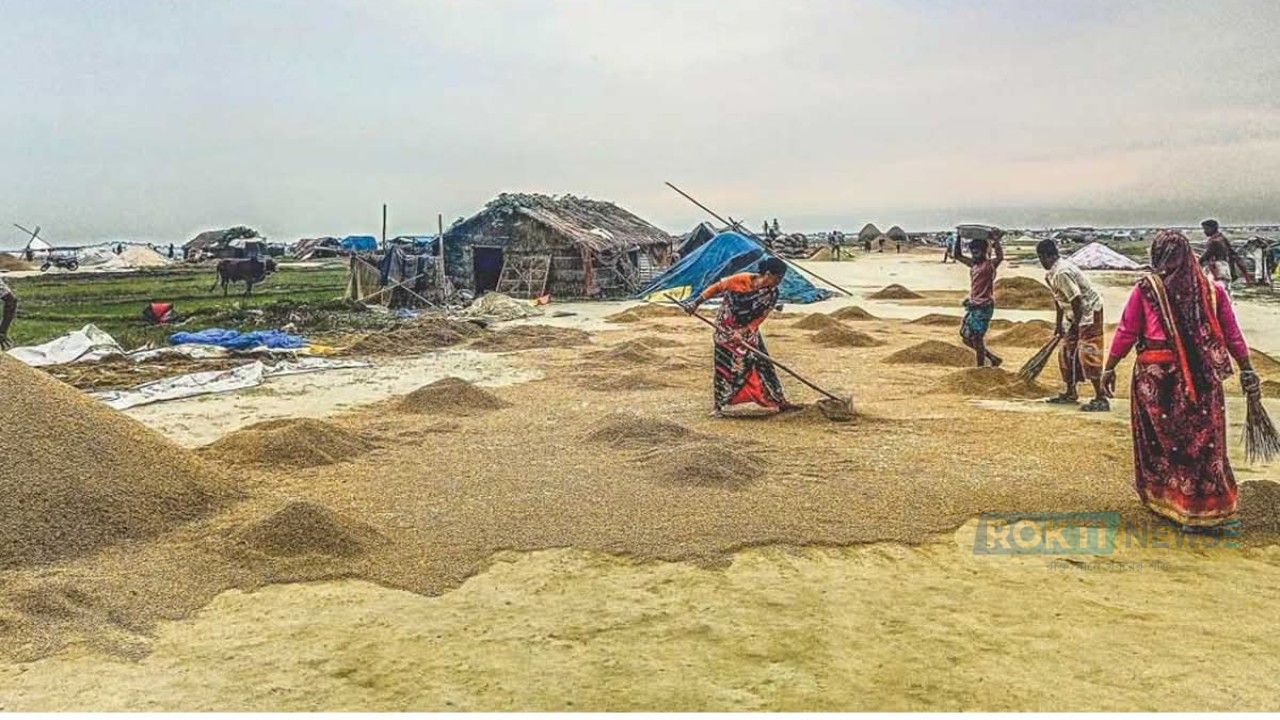 ‎সুনামগঞ্জের হাওরাঞ্চলে ধান নিয়ে বিপাকে কৃষক,কম দামেও ক্রেতা নেই