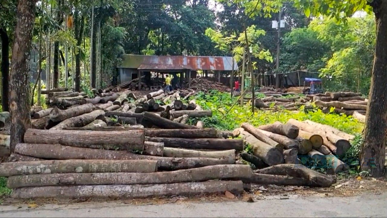 নিষেধাজ্ঞা অমান্য, মঙ্গলকাটায় অনুমোদনহীন স-মিল চালাচ্ছেন আব্দুস সালাম